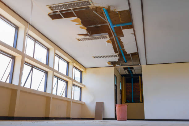 Best 24/7 water damage repair  in Patterson, LA