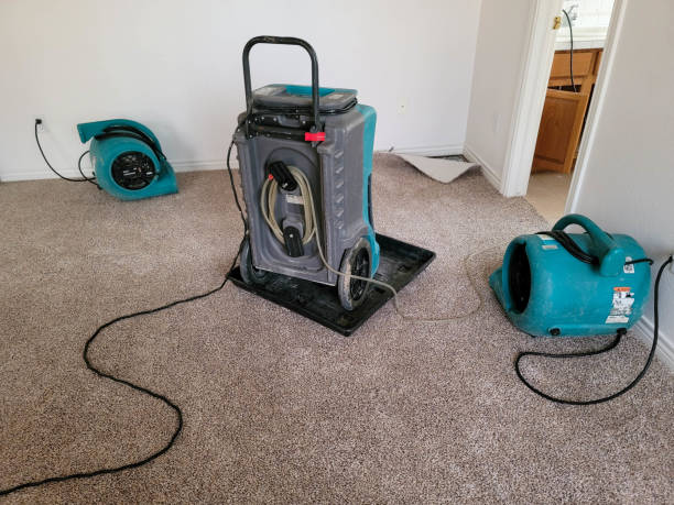 Water damage restoration insurance claims in Patterson, LA