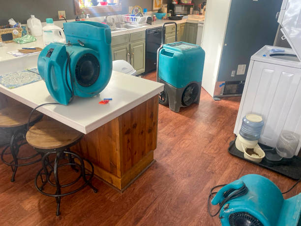 Best Water damage restoration near me  in Patterson, LA
