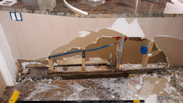Best Water damage restoration experts  in Patterson, LA