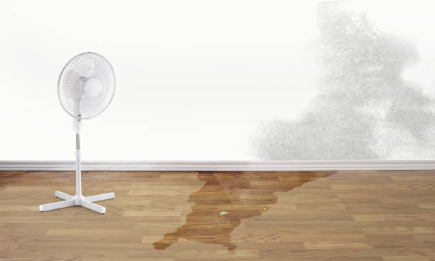 24/7 water damage repair in Patterson, LA