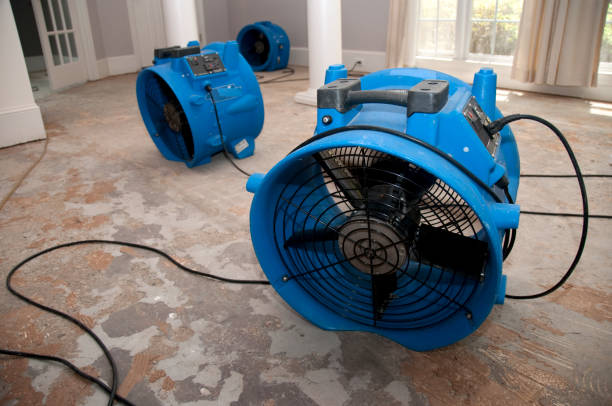 Carpet water damage restoration in Patterson, LA