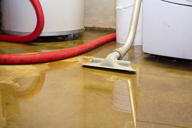 Best Sewage cleanup and water damage restoration  in Patterson, LA