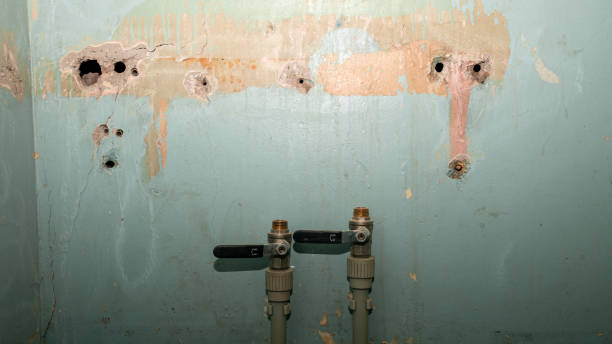 Best Mold removal after water damage  in Patterson, LA
