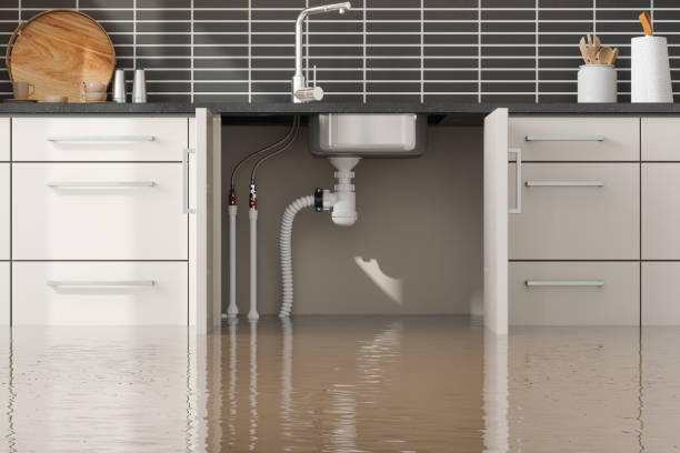 Best 24-hour water damage restoration  in Patterson, LA