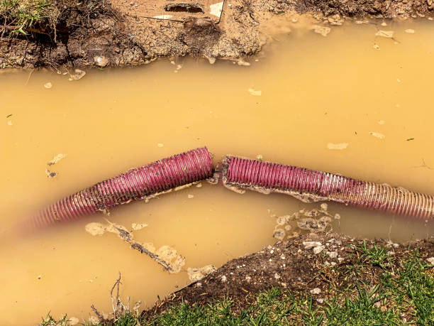 Best Local water damage restoration  in Patterson, LA