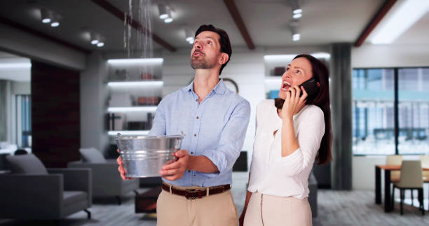 Best Professional water damage repair  in Patterson, LA